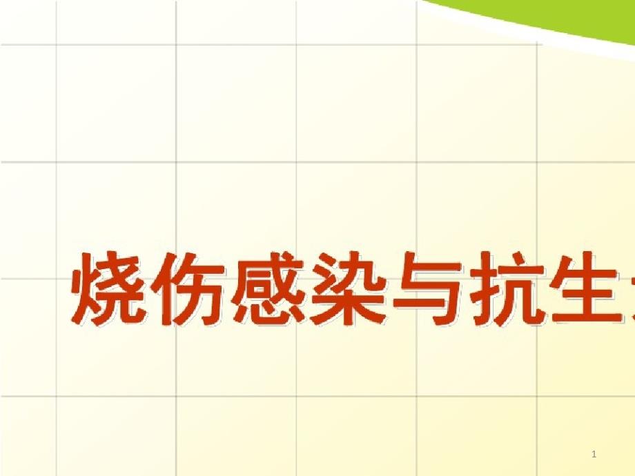 烧伤感染与抗生素使用-文档课件_第1页