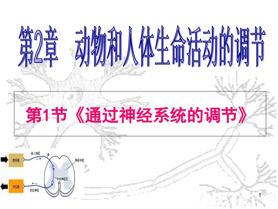 通过神经系统的调节_ppt课件(人教版必修)讲解_第1页