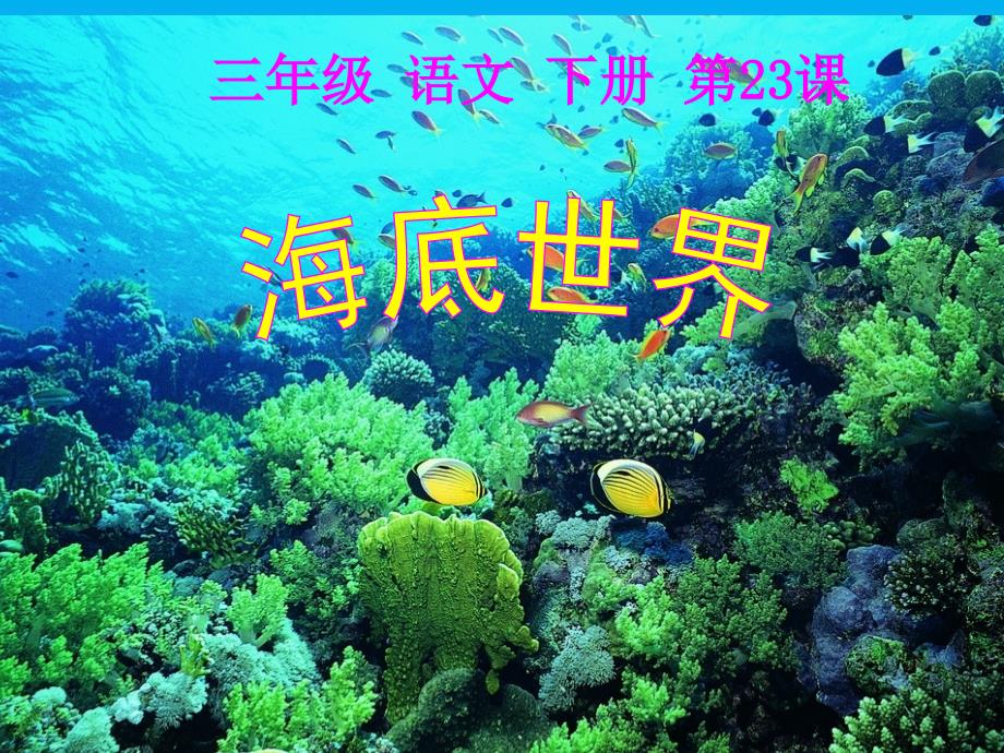 海底世界-课件_第1页