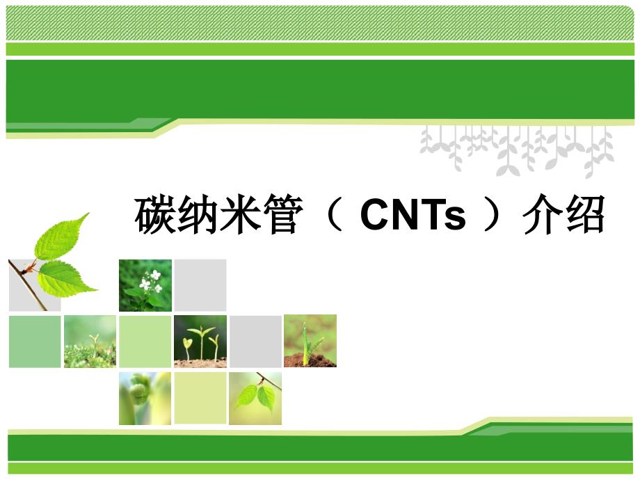 CNTs-碳纳米管简介剖析课件_第1页