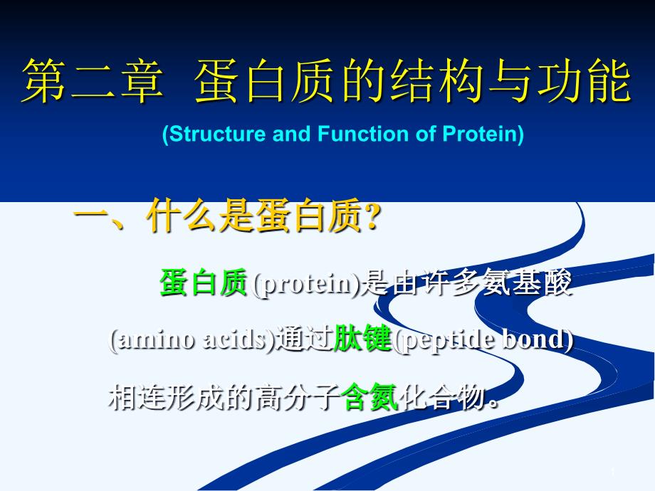 第二章蛋白质的结构与功能课件_第1页