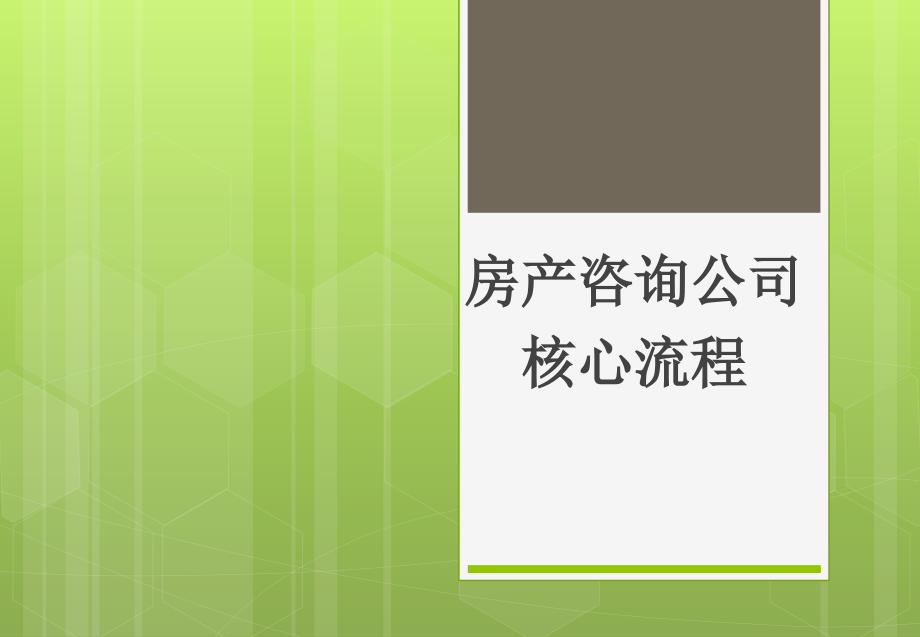 房产咨询公司核心流程教材_第1页