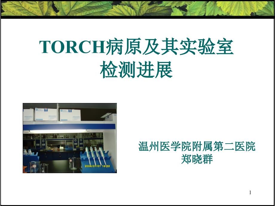 TORCH病原及其实验室检测进展概要课件_第1页