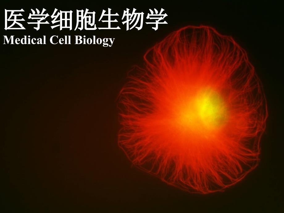 医学细胞生物学：1-概论课件_第1页