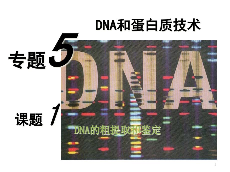 DNA的粗提取与鉴定课件_第1页