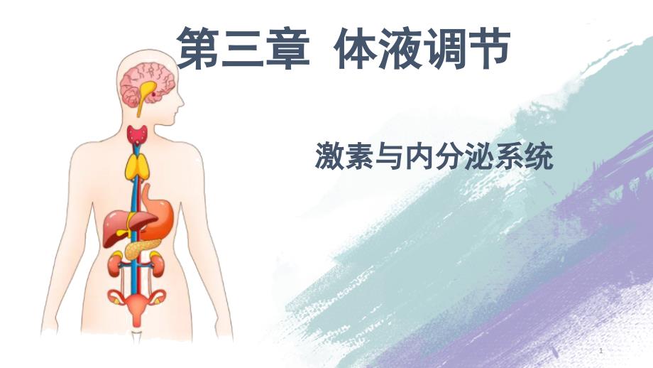 高中生物第3章第1节激素调节ppt课件高二上学期人教版选择性必修_第1页