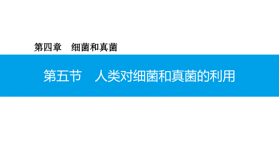 人类对细菌和真菌的利用2020年秋人教版八年级上册生物ppt课件_第1页