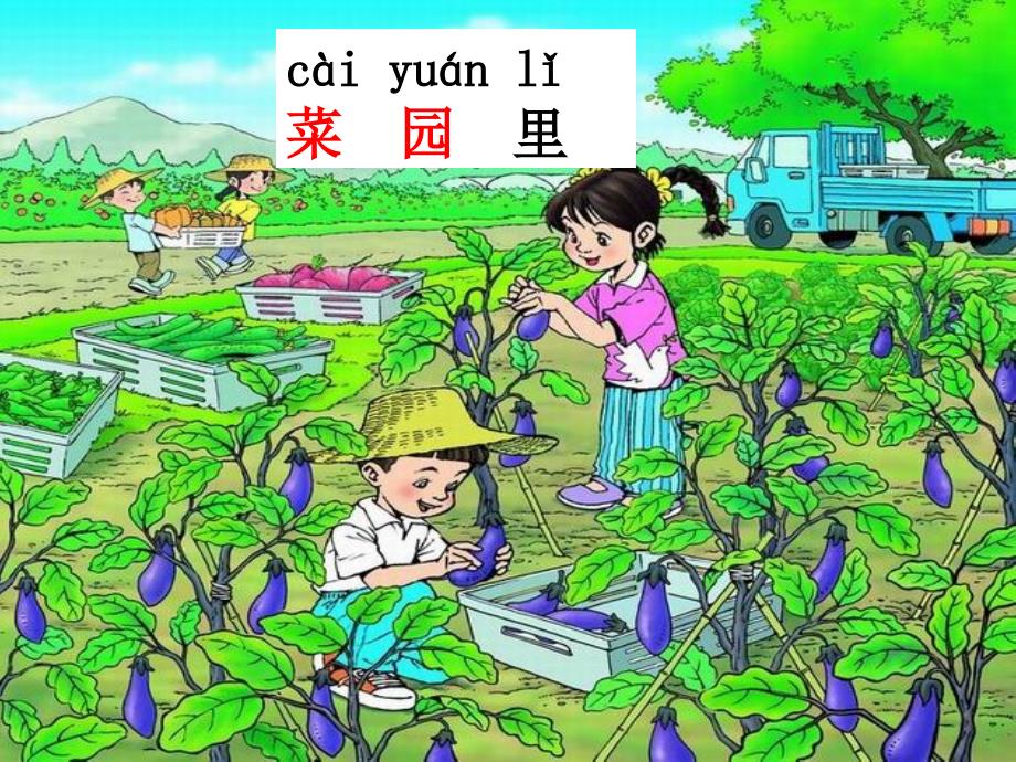 人教版小学语文一年级上册《菜园里》电子ppt课件_第1页