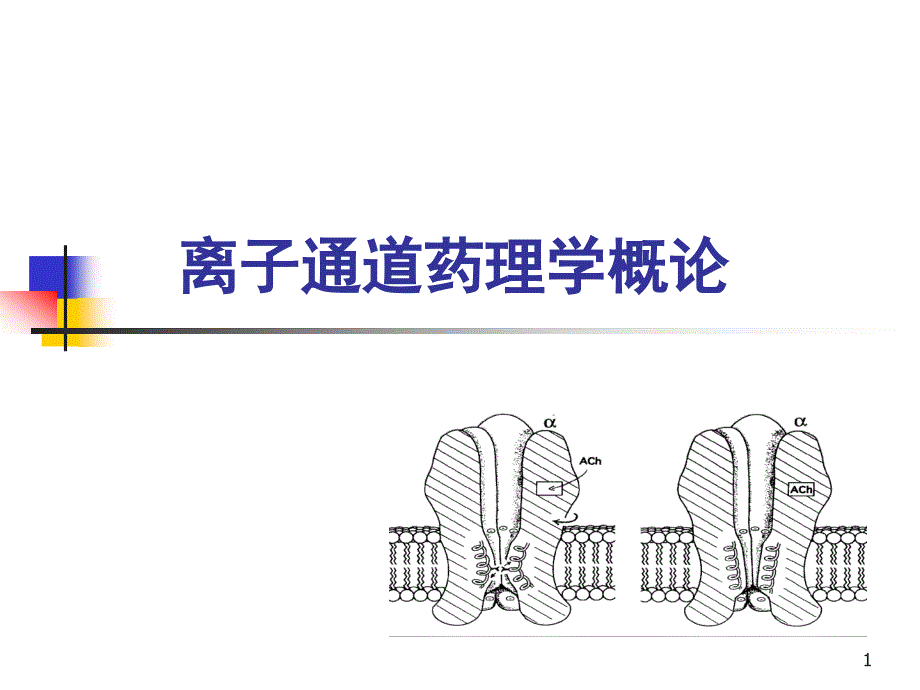 离子通道学概论课件_第1页