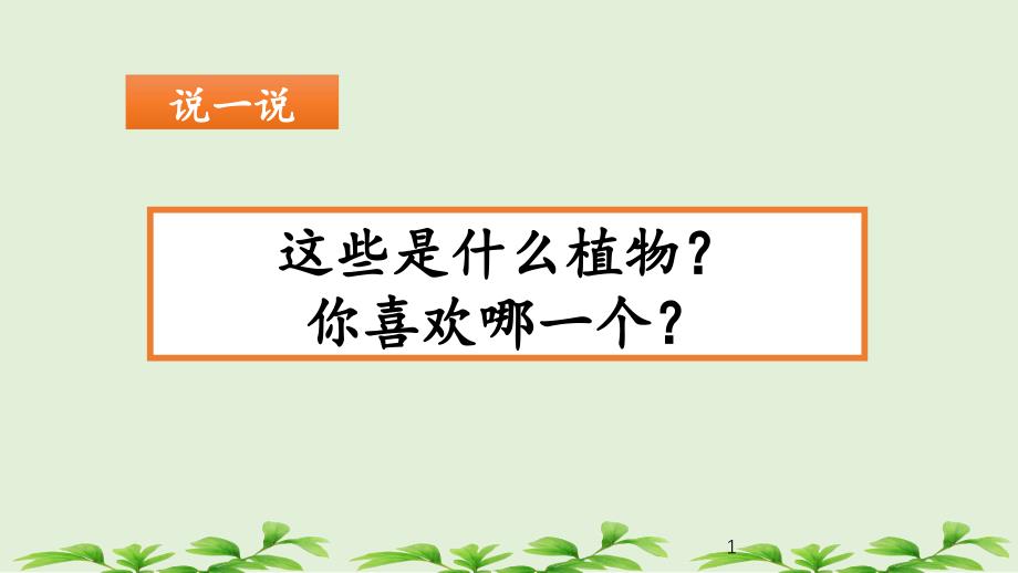 《我的植物朋友》课件_第1页