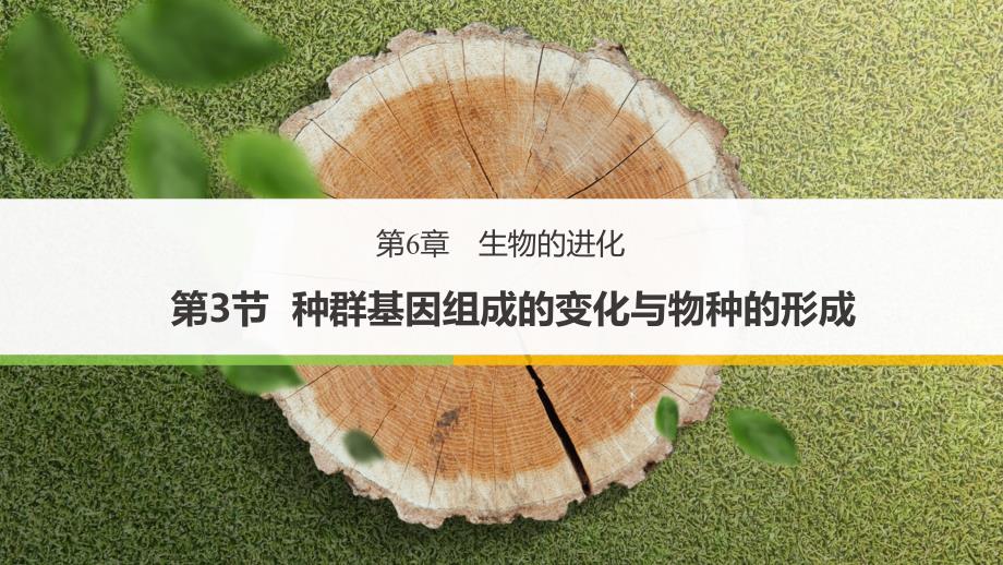 人教版必修二63种群基因组成的变化与物种的形成课件_第1页