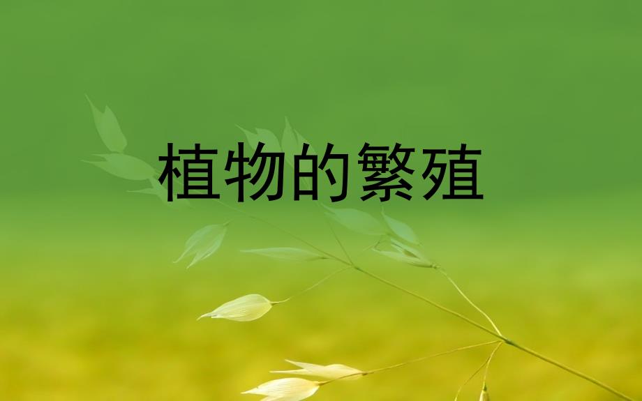 《植物的繁殖》教学ppt课件_第1页