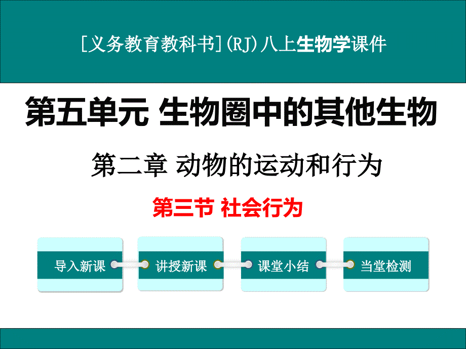 人教版八年级上册生物学《社会行为》ppt课件_第1页