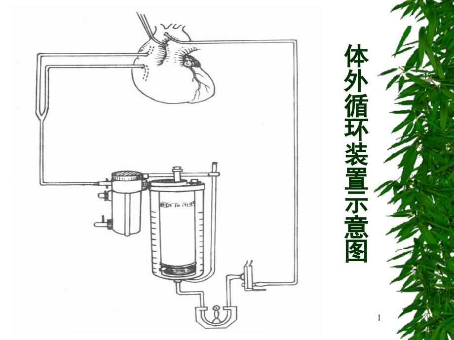 麻醉-麻醉前护理及局麻护理课件_第1页