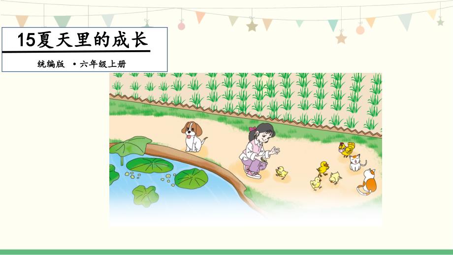 《夏天里的成长》教学课件_第1页