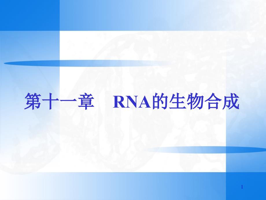 RNA的生物合成1资料课件_第1页