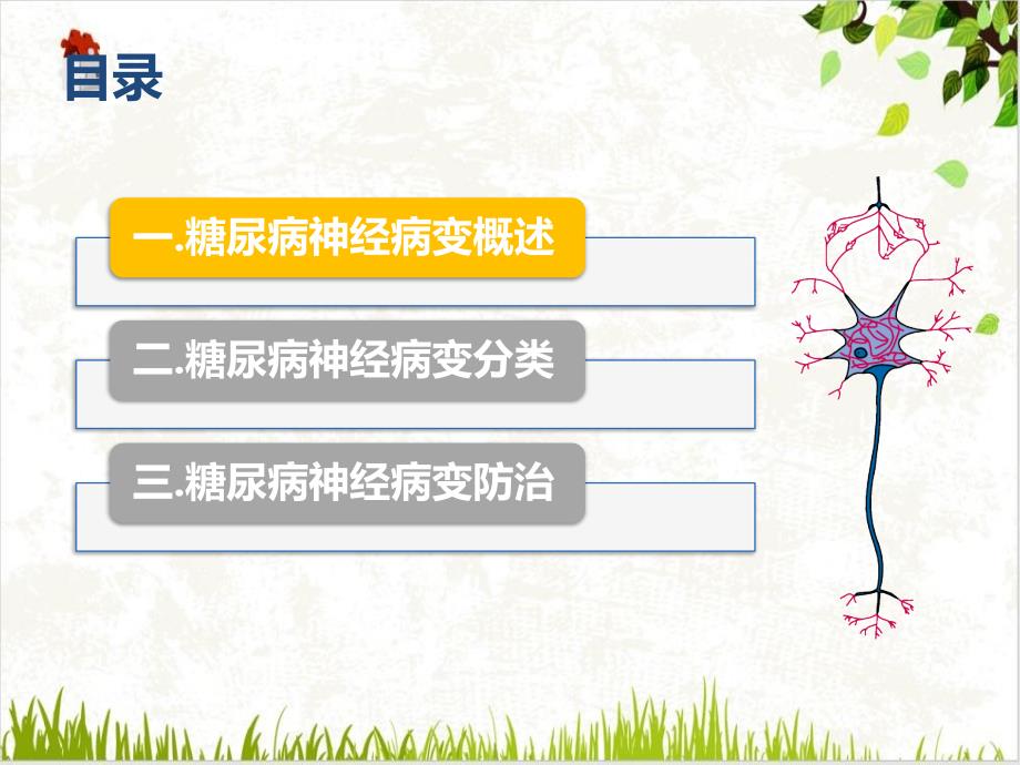 糖尿病神经病变及筛查课件_第1页