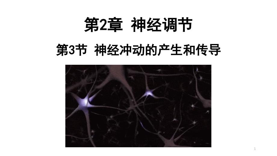 神经冲动的产生和传导人教版高中生物选择性必修一课件_第1页