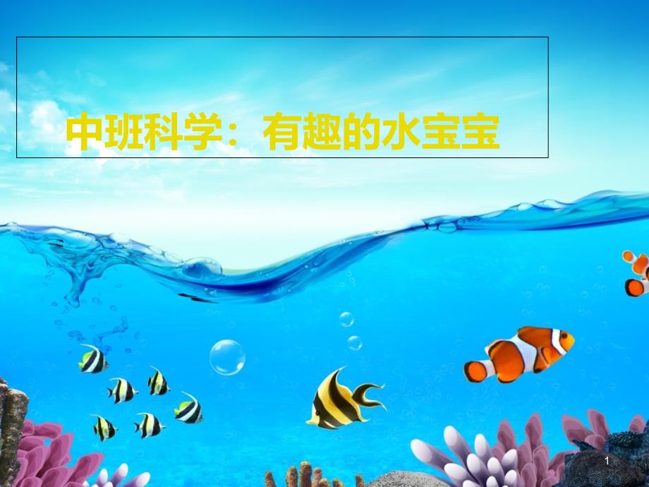 中班科学课件_第1页