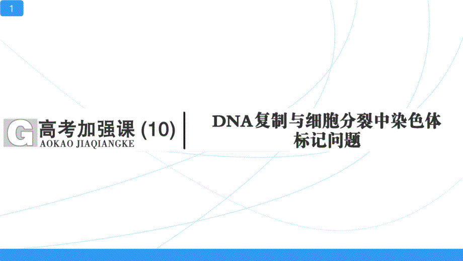 一轮复习ppt课件DNA复制与细胞分裂中染色体标记问题_第1页