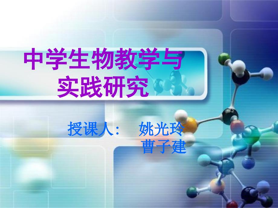 中学生物教学与实践研究课件_第1页