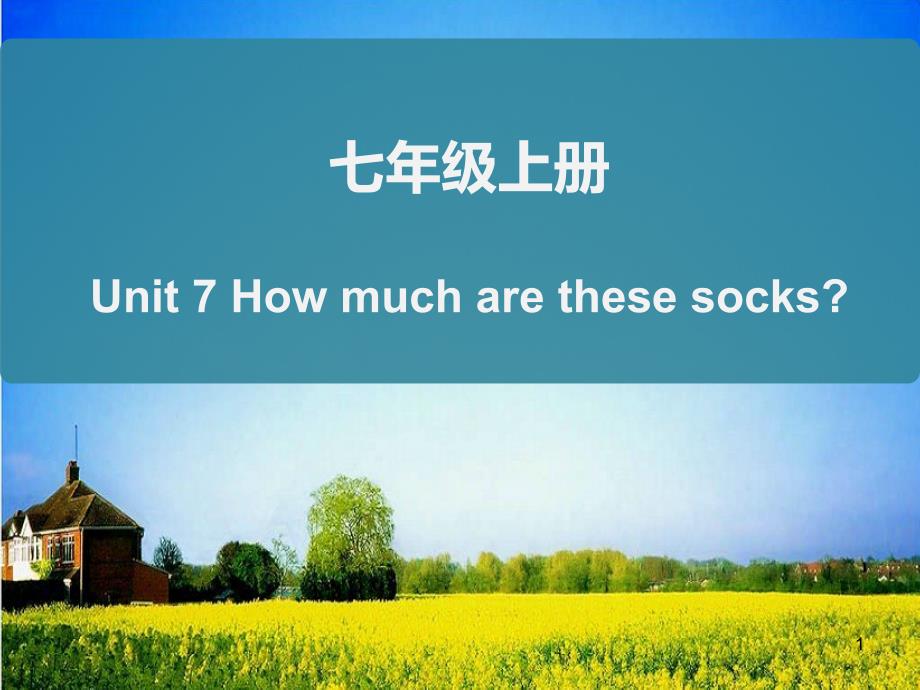 人教版七年级英语上册复习Unit7Howmucharethesesocks知识总结ppt课件_第1页