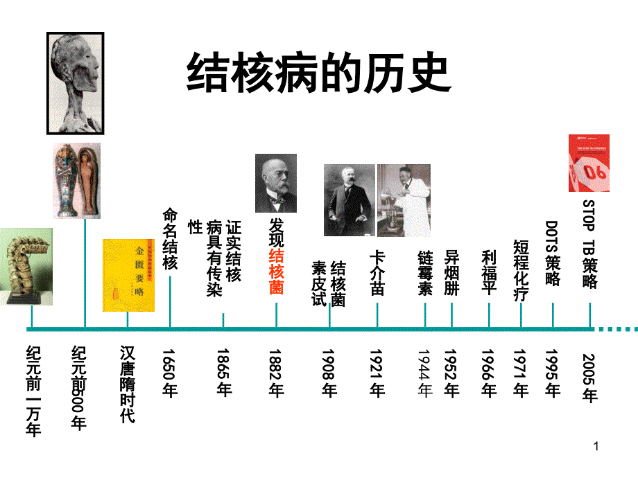 结核病防治基础知识课件_第1页