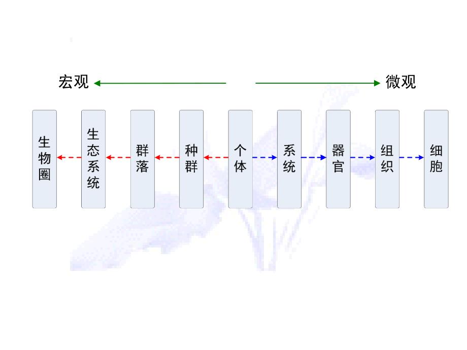 【高中生物ppt课件】4.3群落的结构_第1页