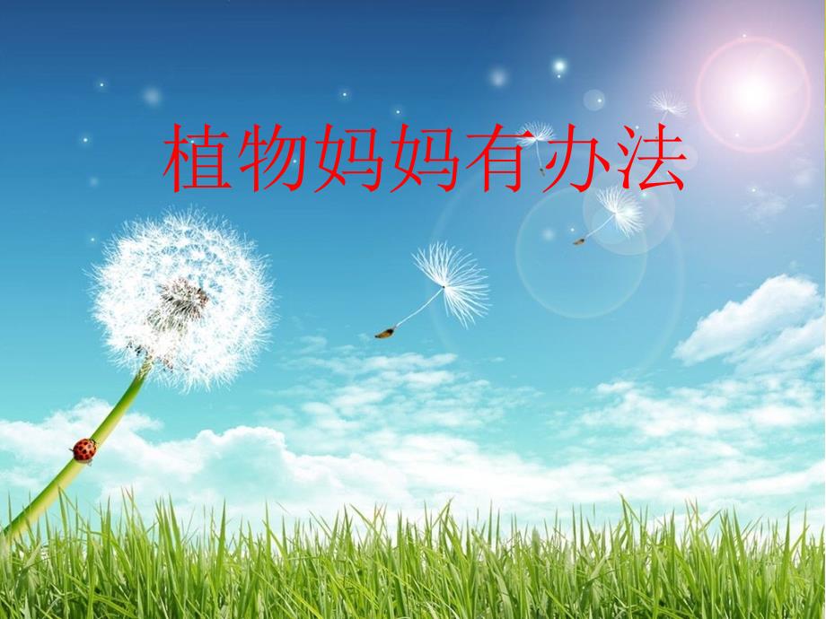 （部编）人教版小学语文二年级上册《3植物妈妈有办法》公开课课件_第1页