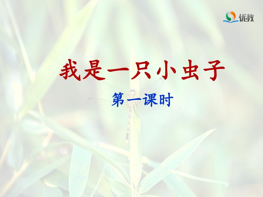 《我是一只小虫子》名师ppt课件（第一课时）_第1页