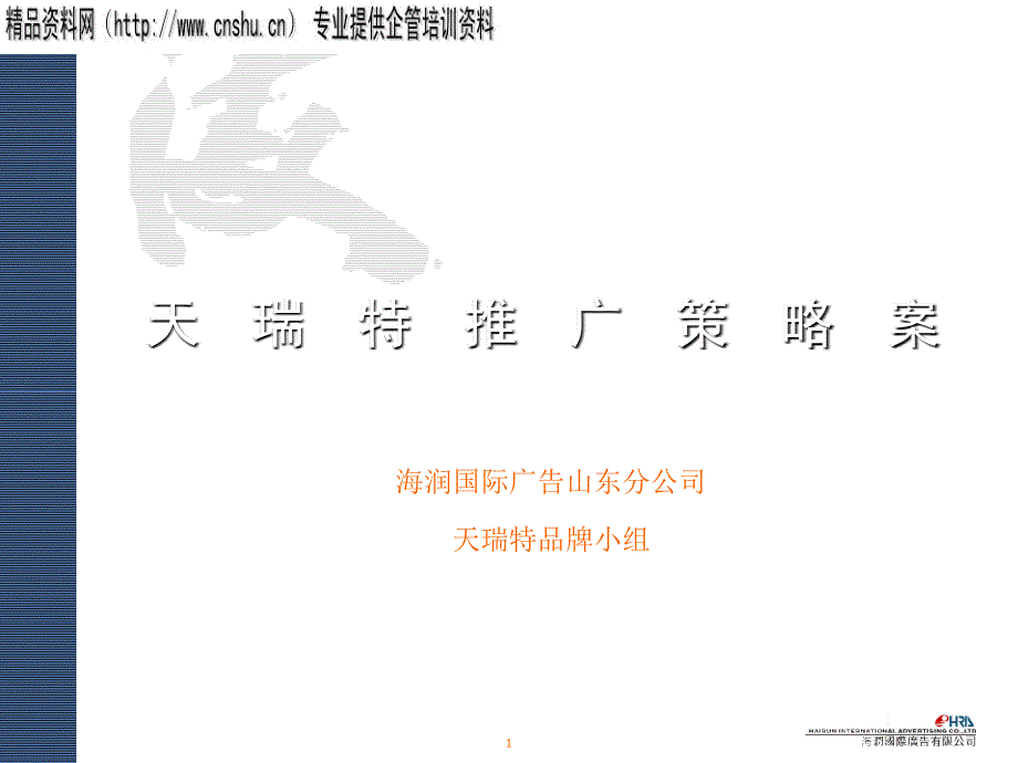 天瑞特推广策略案(1)_第1页