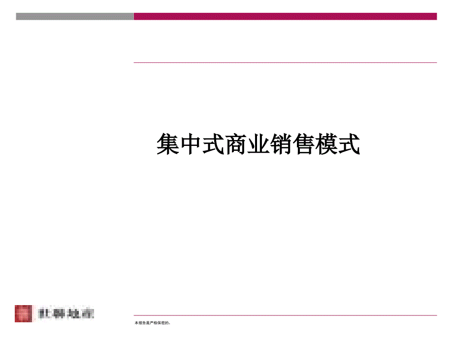 集中式商业销售模式课件_第1页