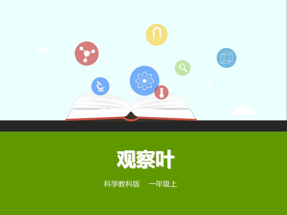 教科版一年级科学上册：第1单元第3课《观察叶》(ppt课件)_第1页