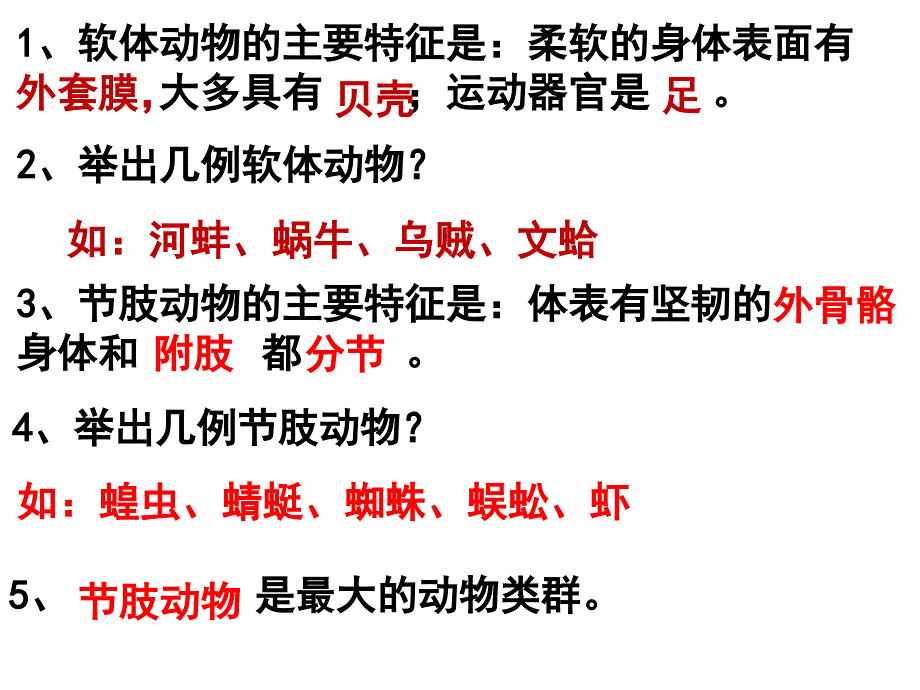 新人教版第四节鱼课件_第1页