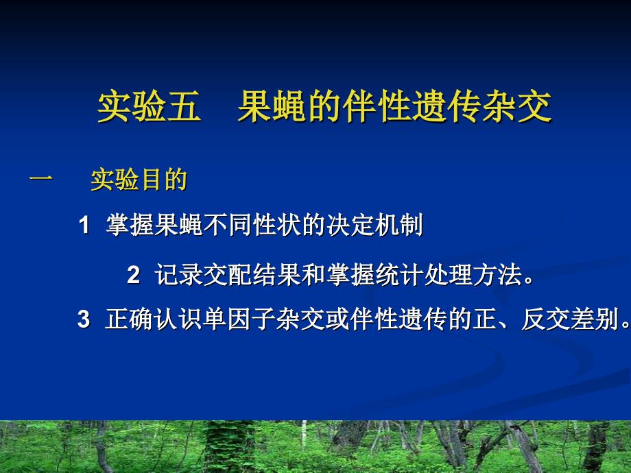 果蝇的伴性遗传杂交_第1页