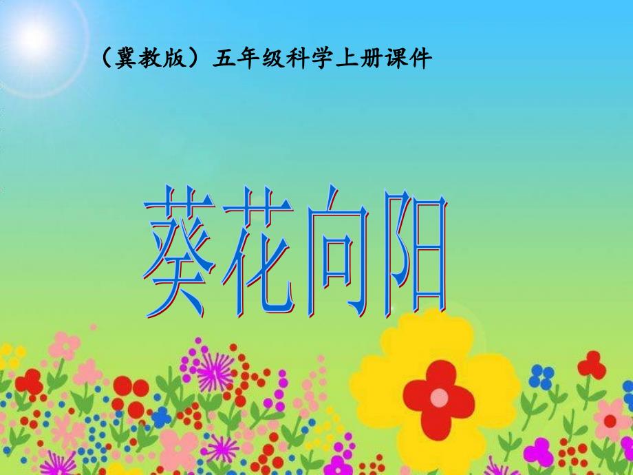 冀教版小学科学五年级上册《葵花向阳》课件_第1页