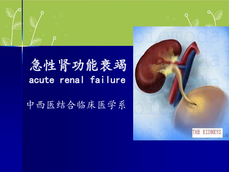 急性肾功能衰竭课件_第1页