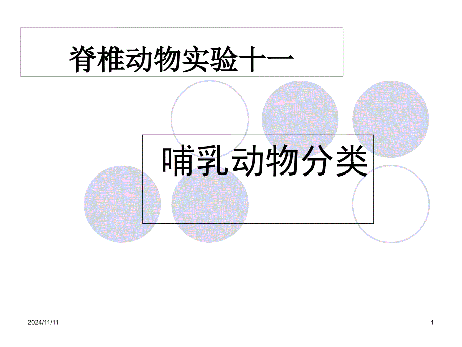 哺乳动物分类课件_第1页