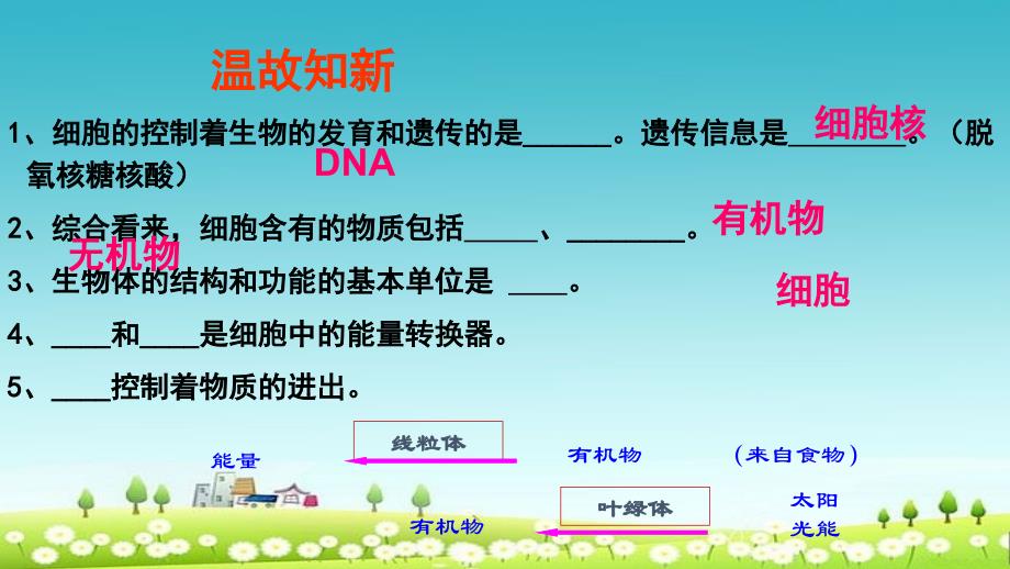 新人教版七年级生物上册第二单元第二章第一节节细胞通过分裂产生新细胞课件_第1页