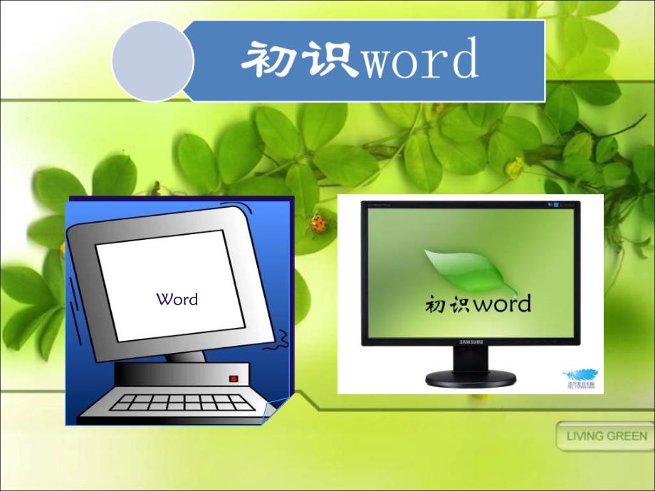 信息技术《初识word》课件_第1页