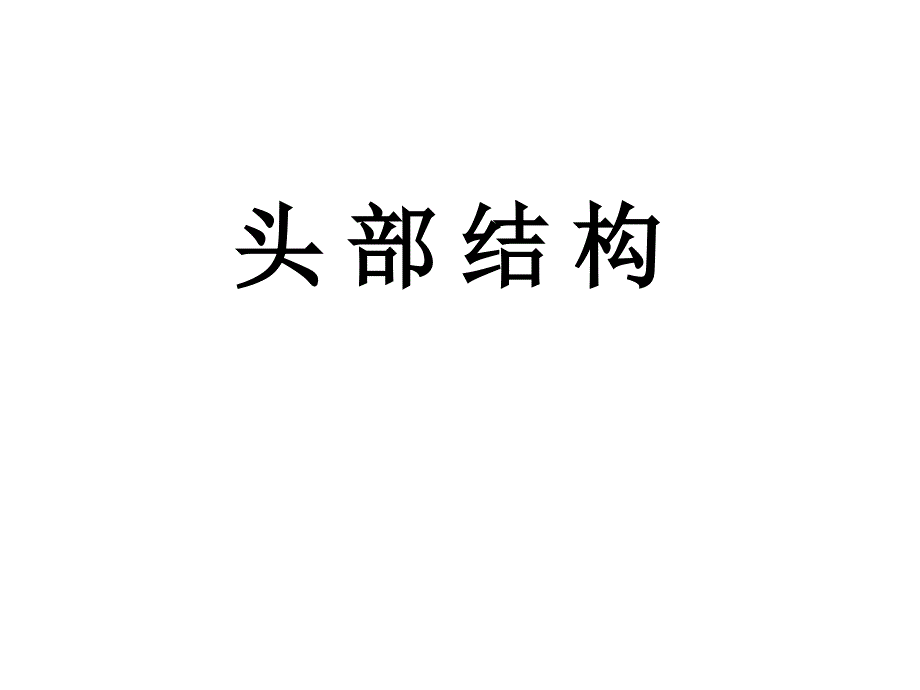 头部结构课件_第1页