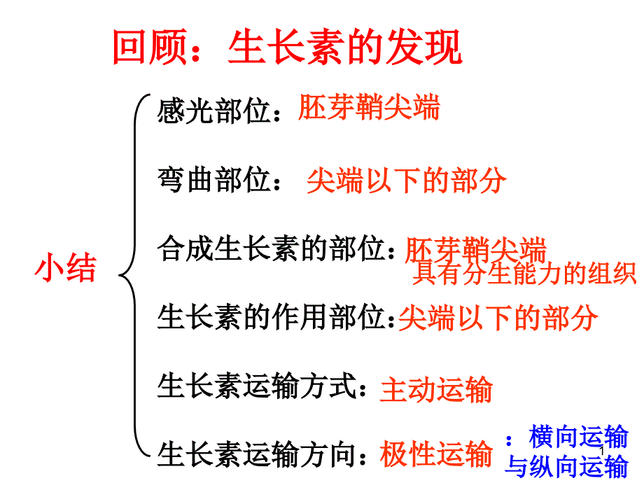 回顾生长素的发现课件_第1页