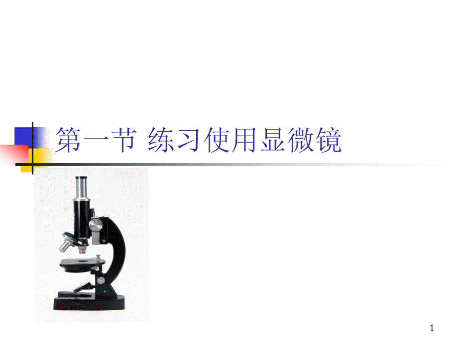 生物人教版初中一年级上册-练习使用显微镜课件_第1页