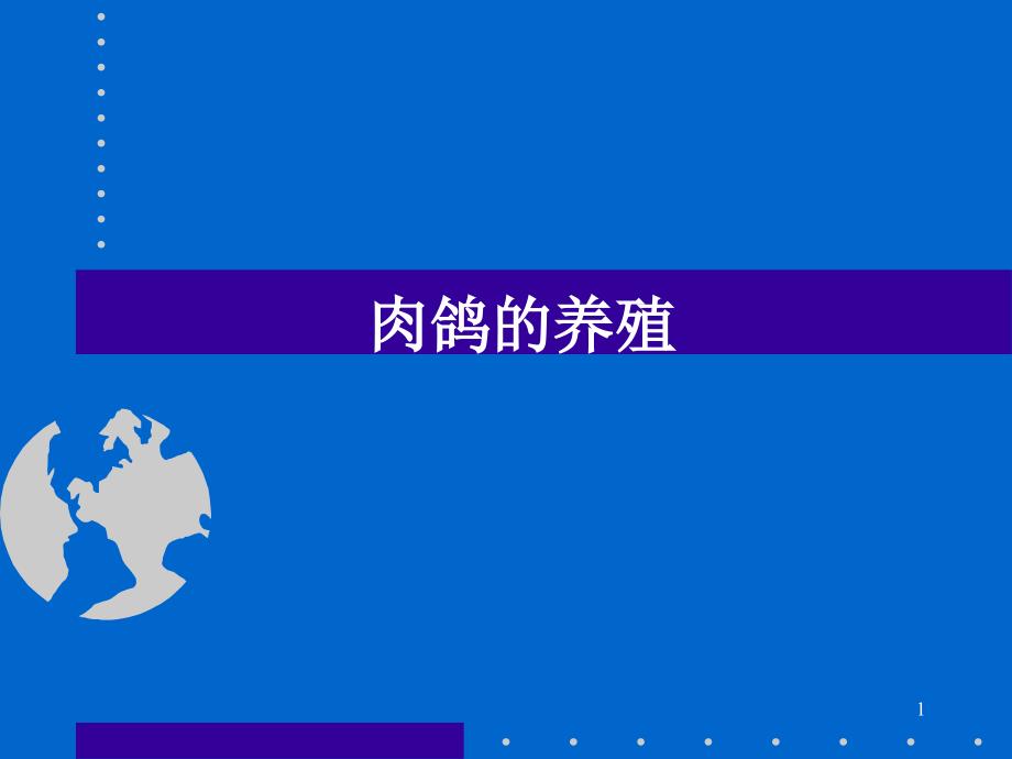 项目十一肉鸽的养殖课件_第1页