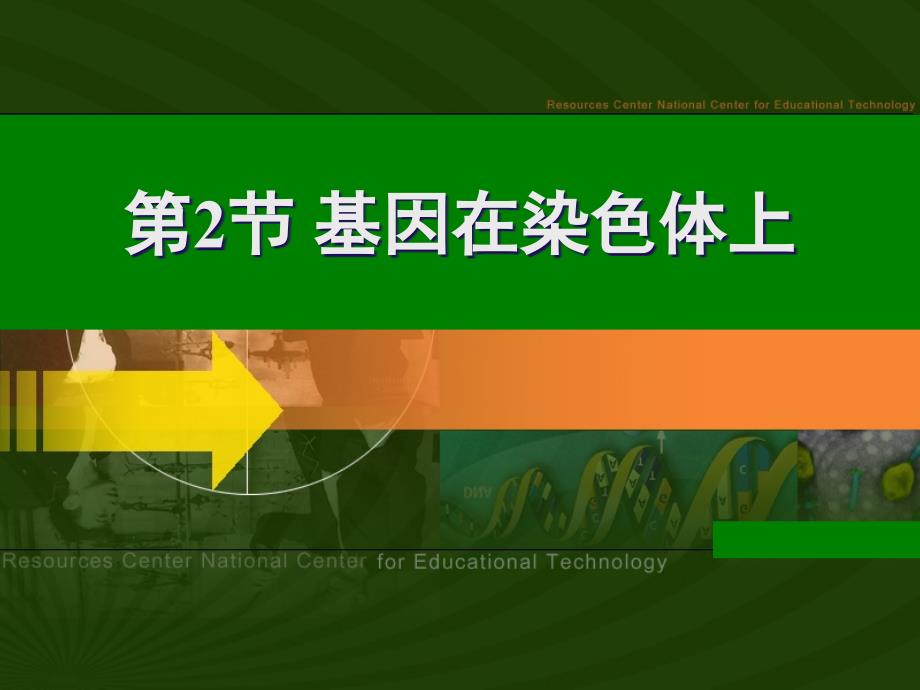 高中生物教学设计--《基因在染色体上》课件_第1页