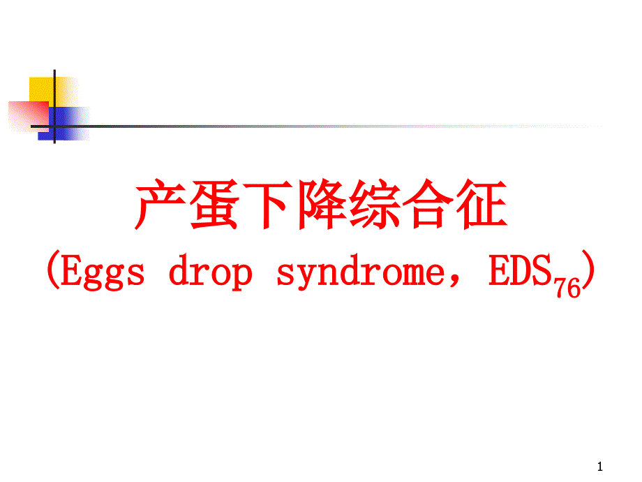 鸡产蛋下降综合症课件_第1页