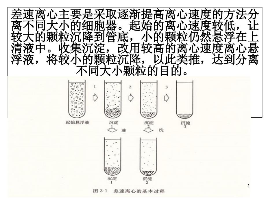 细胞膜的功能ppt课件_第1页