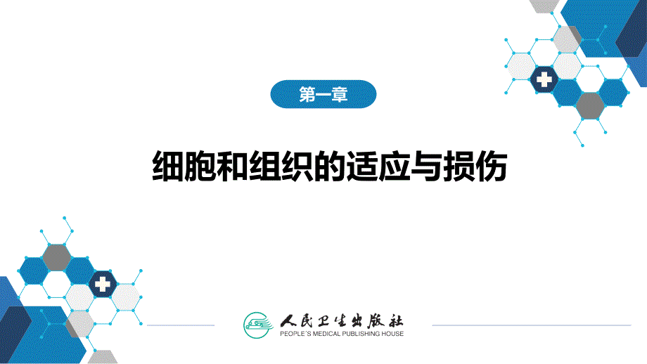 细胞和组织的适应与损伤课件_第1页