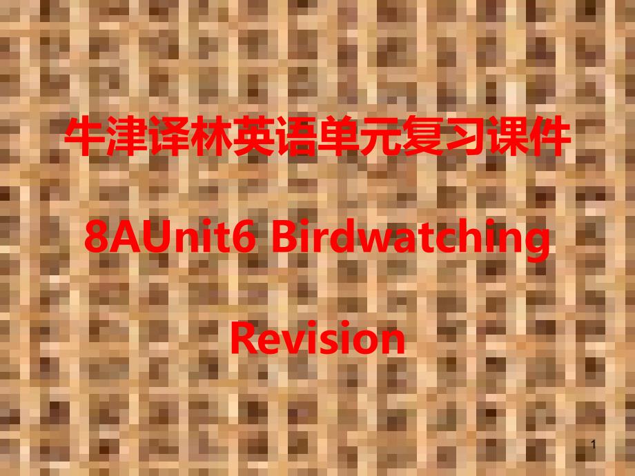 牛津译林英语8AUnit-6-Birdwatching单元复习ppt课件_第1页