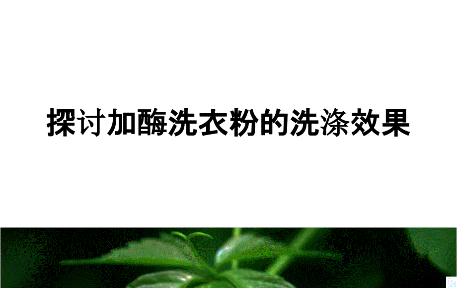 高中生物酶的研究與應(yīng)用42探討加酶洗衣粉的洗滌效果ppt課件新人教版選修_第1頁(yè)